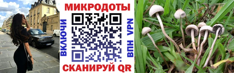 купить  сайты  Ясный  Галлюциногенные грибы Magic Shrooms 
